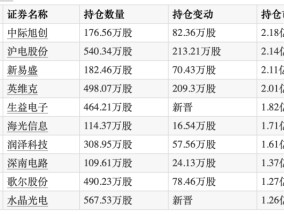 2024年公募“冠军基”四季度重仓AI算力及应用端，新进生益电子、水晶光电