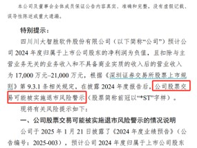 川大智胜可能被实施退市风险警示，预计2024年归母净利润为负值