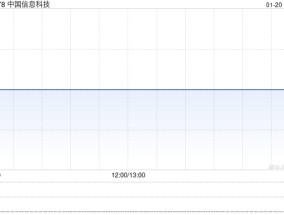 中国信息科技获董事会主席黄景兆增持4000股 每股作价3.15港元