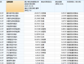 这类基金，开年以来表现出色