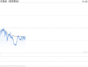 机构长期看涨黄金 称黄金将保护投资者财富