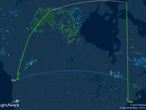 土耳其航空公司一名飞行员在飞行途中死亡，飞机被迫在纽约紧急降落