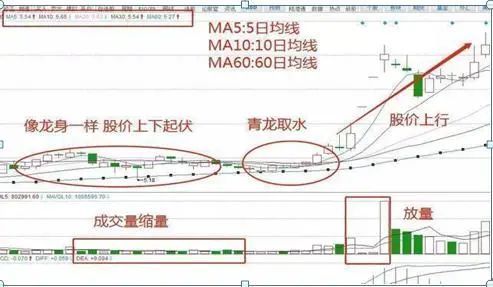 巴菲特点破A股市场：最具价值投资的7只行业龙头股名单一览，谁会是下一只“千倍股”?